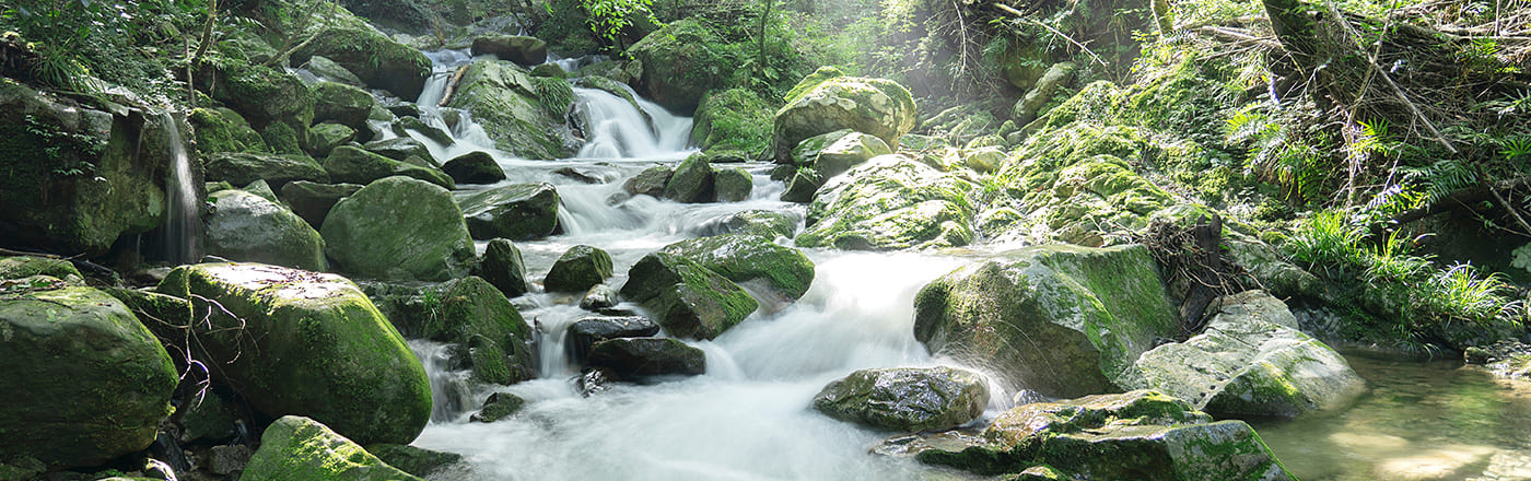 温泉水99の効果とは?美肌・便秘改善・デトックスの秘密を解説!